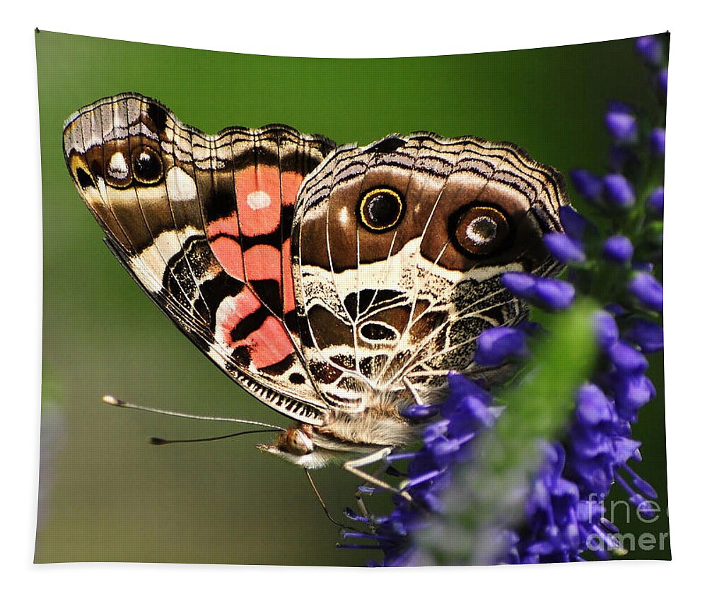 Butterflies Tapestry featuring the photograph Pretty Painted Lady by Kathy Baccari