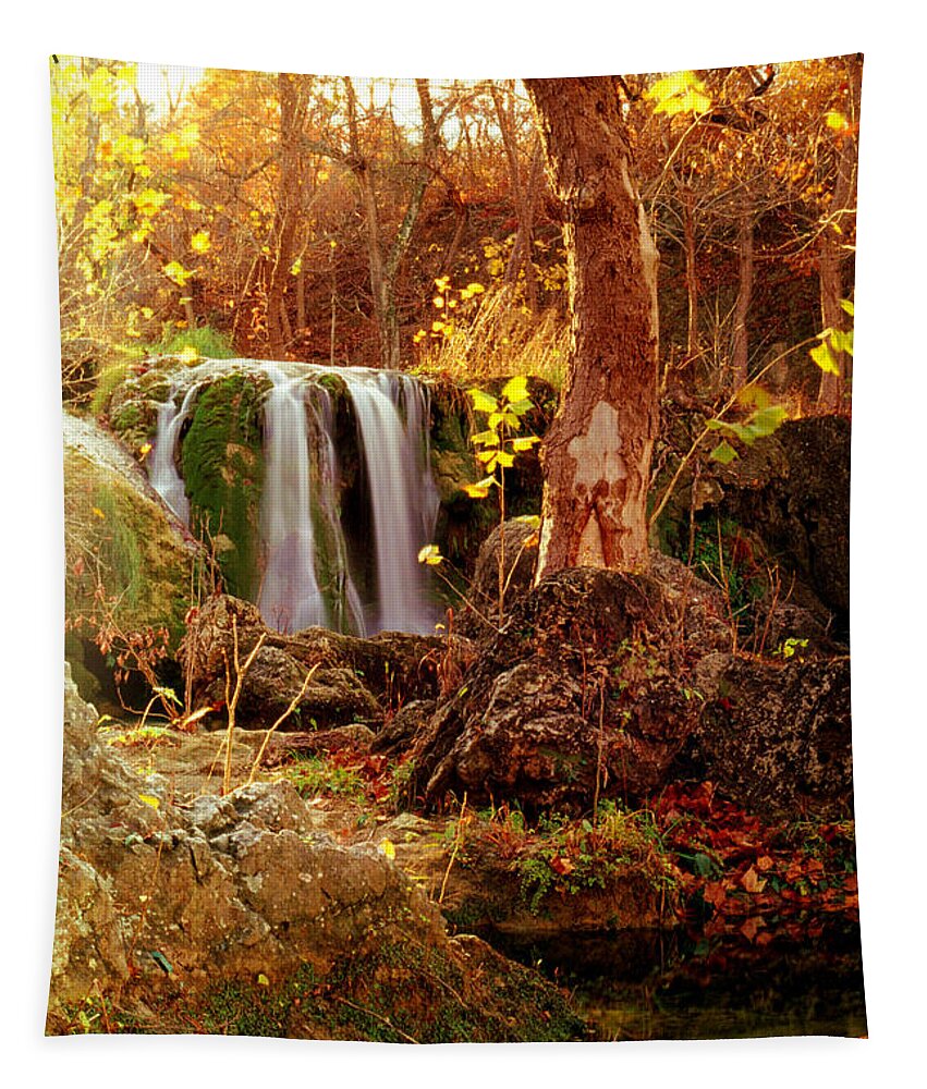 Oklahoma Tapestry featuring the photograph Price Falls 2 of 5 by Jason Politte