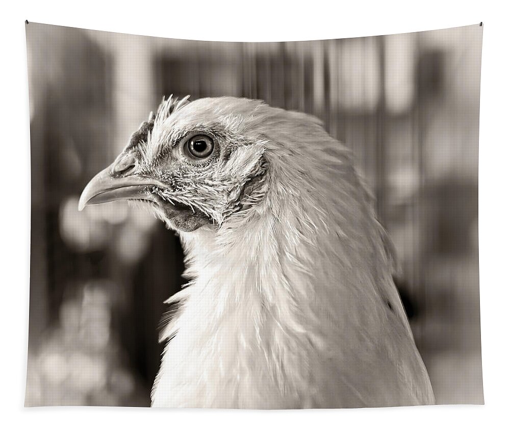 Chicken Tapestry featuring the photograph Prize Winning Hen by Edward Fielding