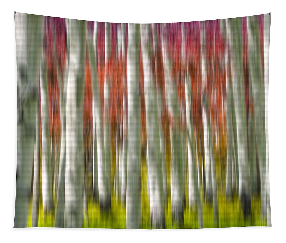 3scape Tapestry featuring the photograph Progression of Autumn by Adam Romanowicz