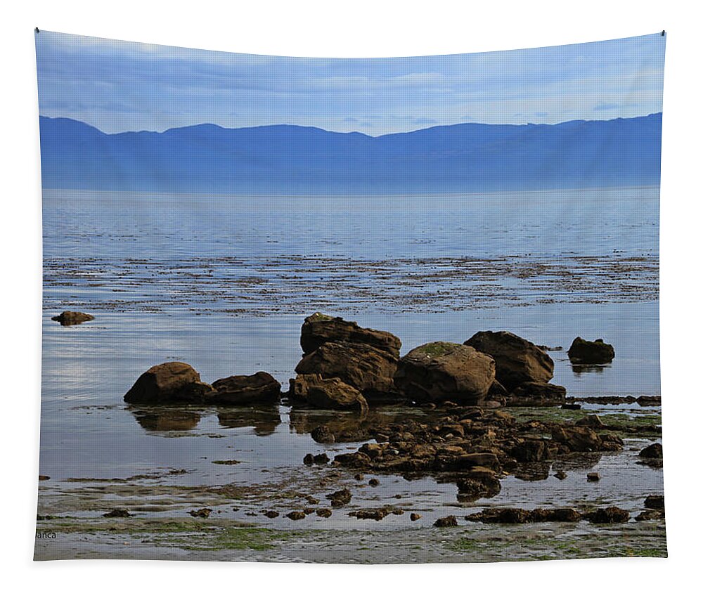 Puget Sound Tapestry featuring the digital art Pugett Sound by Tom Janca