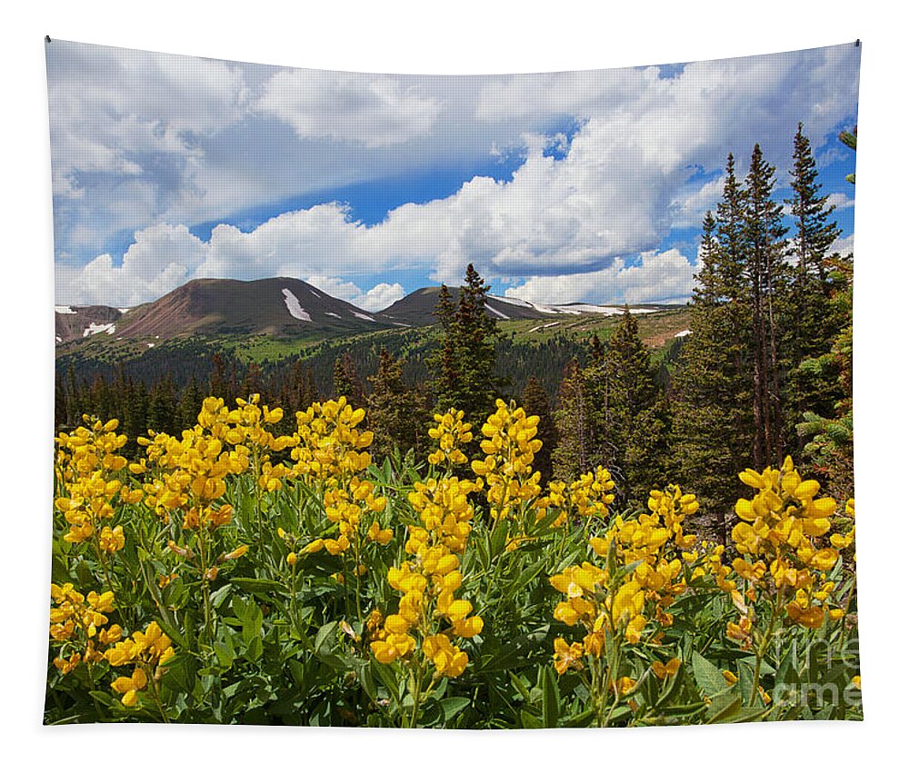 Flowers Tapestry featuring the photograph Pure Gold by Jim Garrison