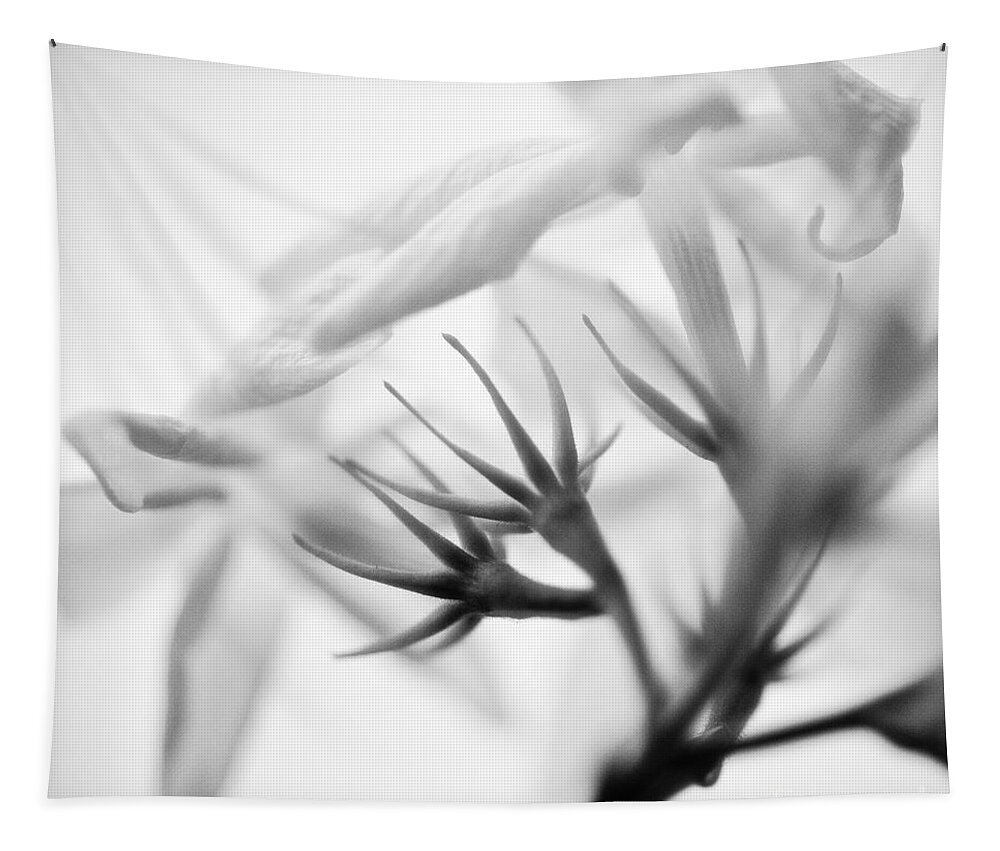Photography Tapestry featuring the photograph Purity in black and white by Ivy Ho