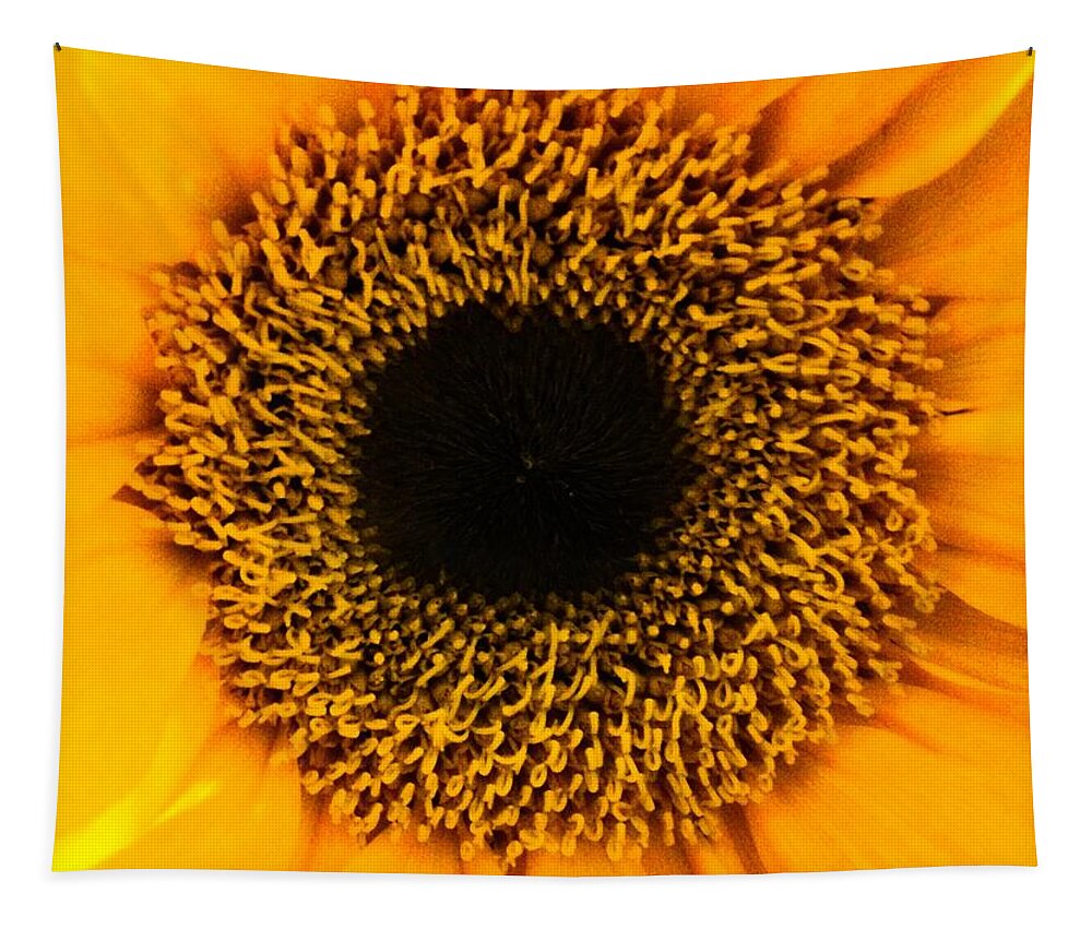 Daisy Tapestry featuring the photograph Purity by Marian Lonzetta