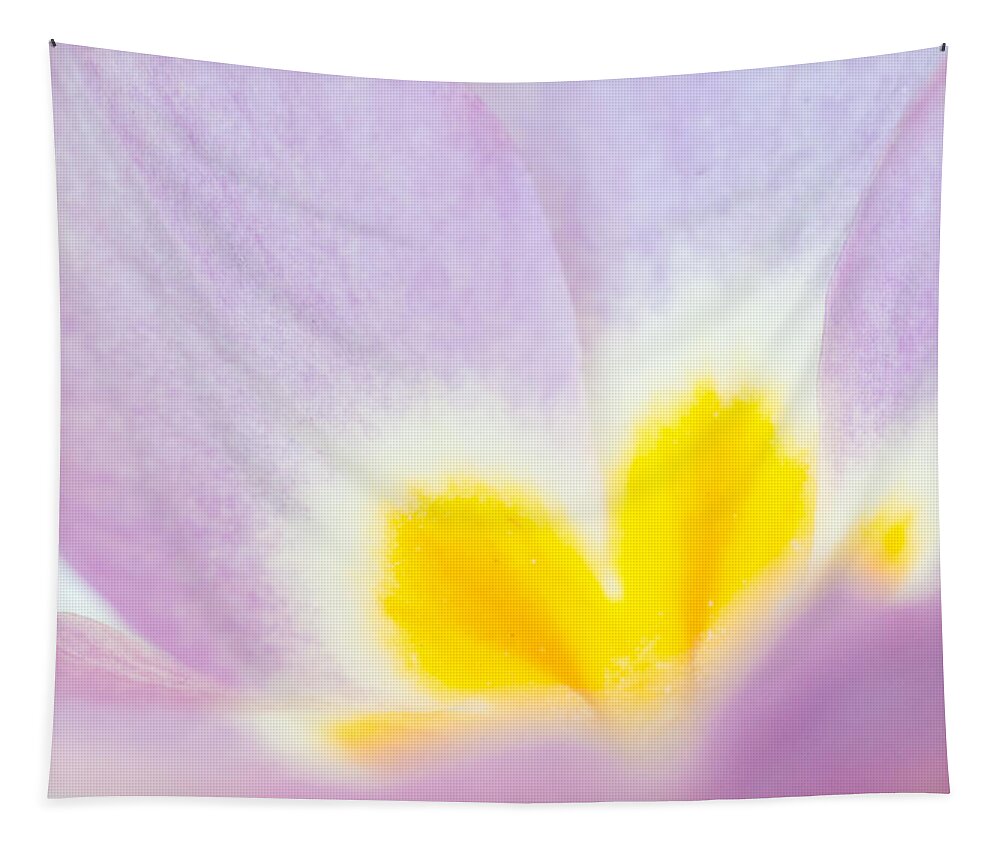 Flower Tapestry featuring the photograph Purple and yellow primrose petals - bright and soft spring flower by Matthias Hauser