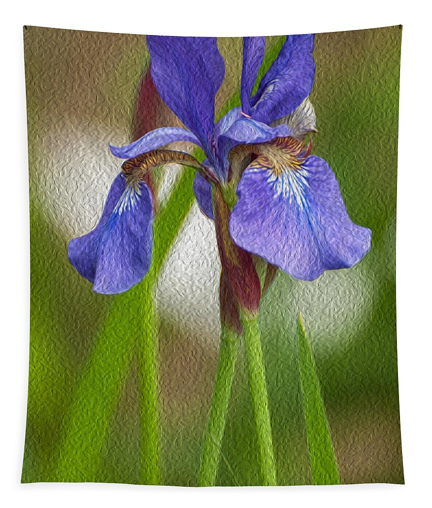 Bearded Iris Tapestry featuring the photograph Purple Bearded Iris Oil by Brenda Jacobs