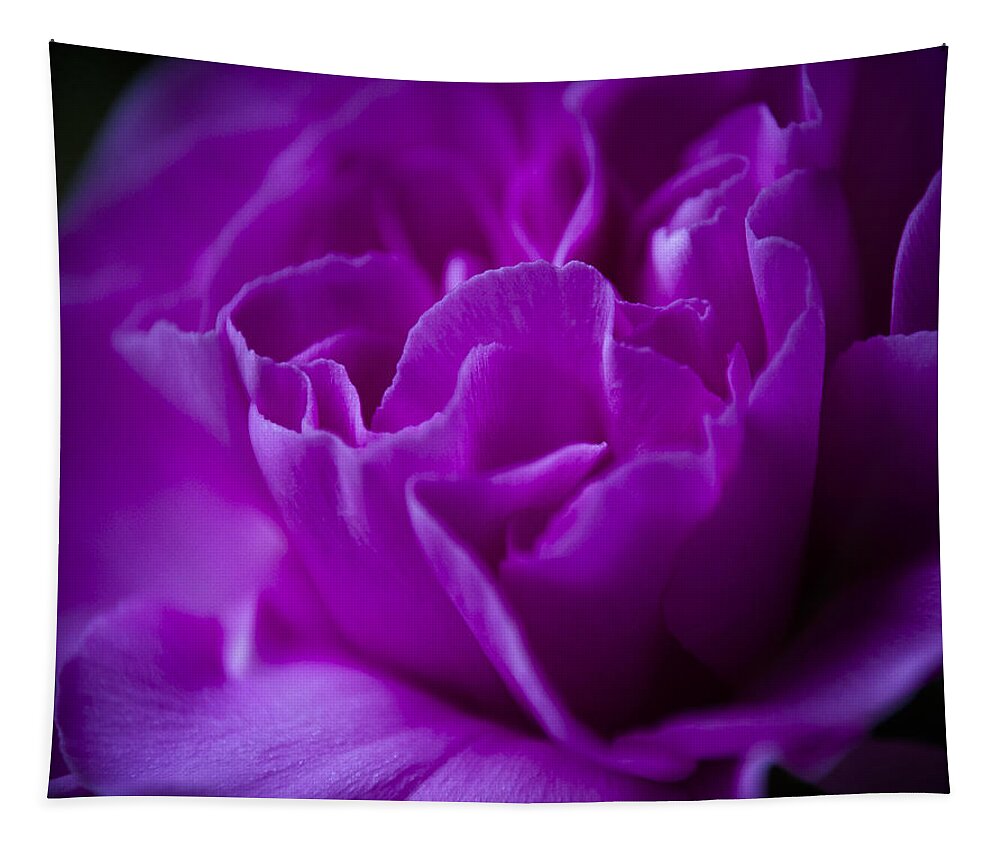 Wall Art Tapestry featuring the photograph Purple Beauty by Ron Roberts