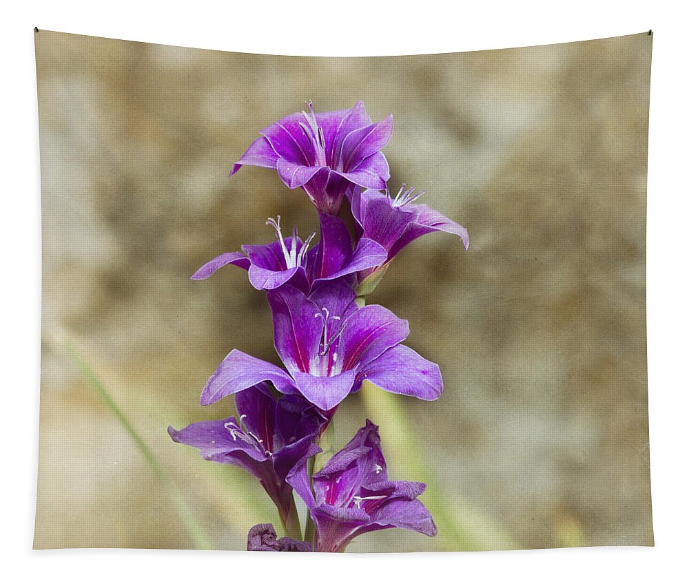 Gladiolus Tapestry featuring the photograph Purple Elegance by Kim Hojnacki