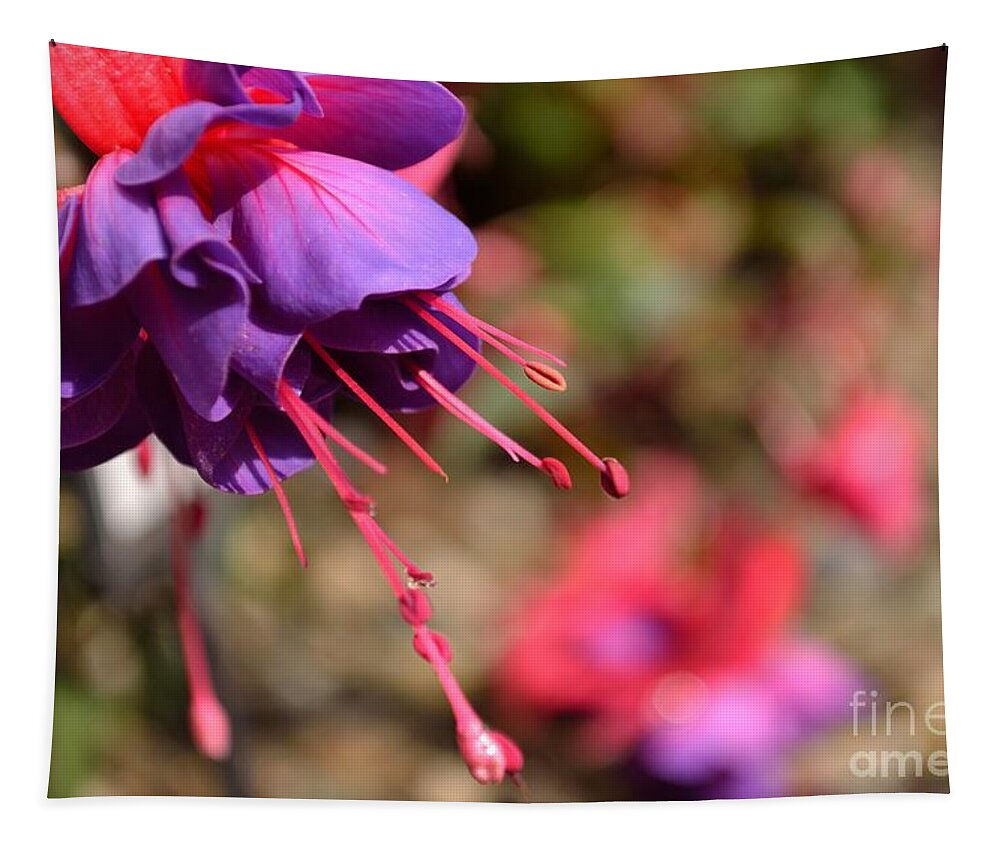 Lavender Tapestry featuring the photograph Purple Fuchsia by Scott Lyons