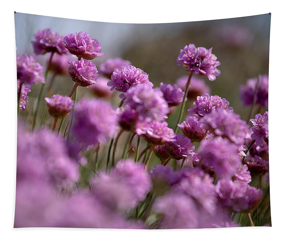 Purple Tapestry featuring the photograph Purple haze by Nigel R Bell