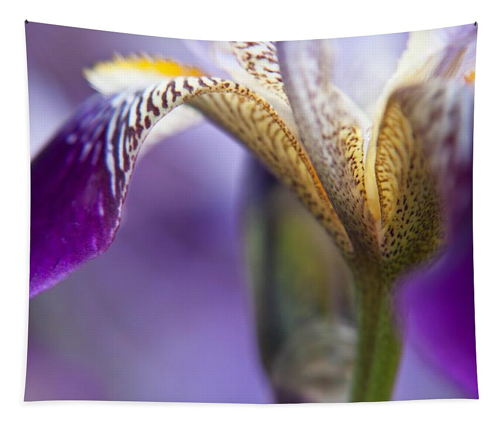 Floral Tapestry featuring the photograph Purple Iris 1 by Theresa Tahara