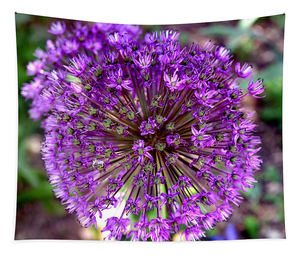 Allium Tapestry featuring the photograph Purple Sensation Allium by Deena Stoddard
