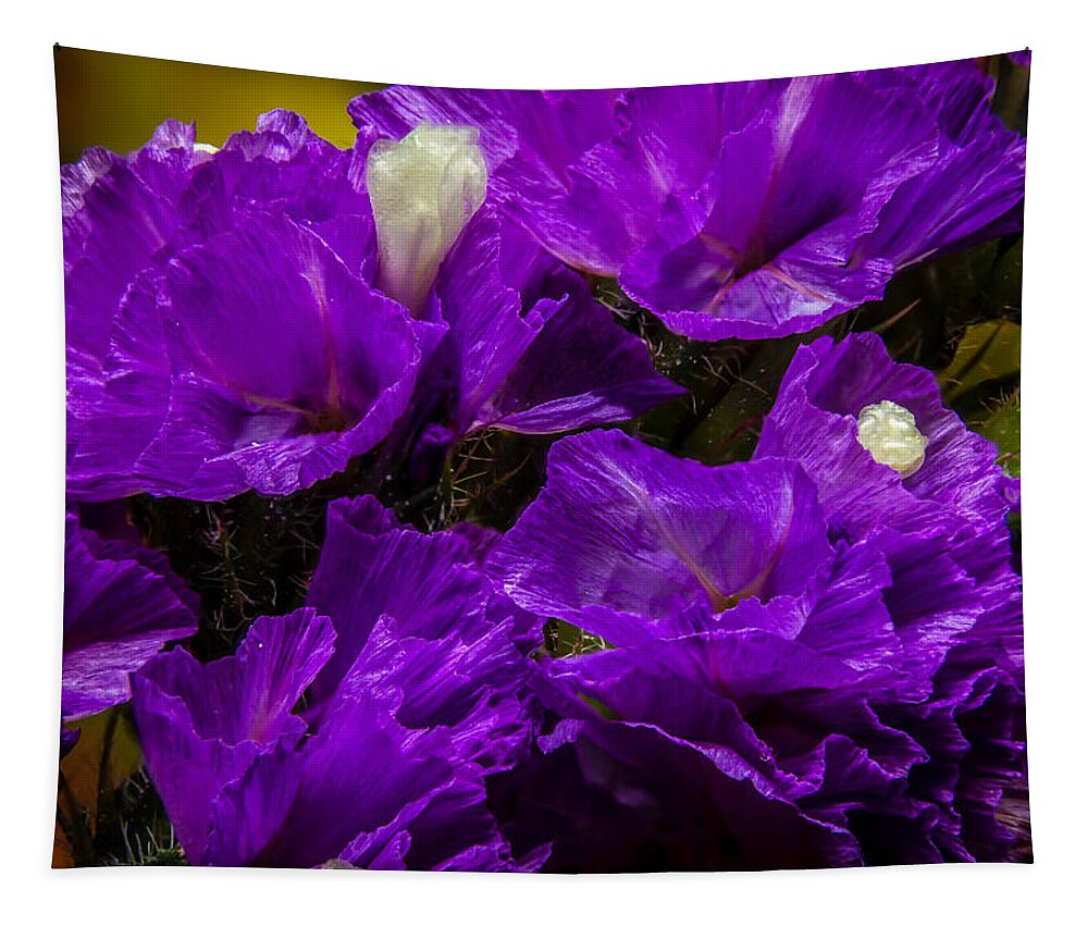 Flower Tapestry featuring the photograph Purple Statice by Ron Pate