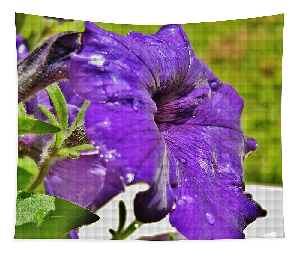 Flower Tapestry featuring the photograph Purple Taffeta by VLee Watson