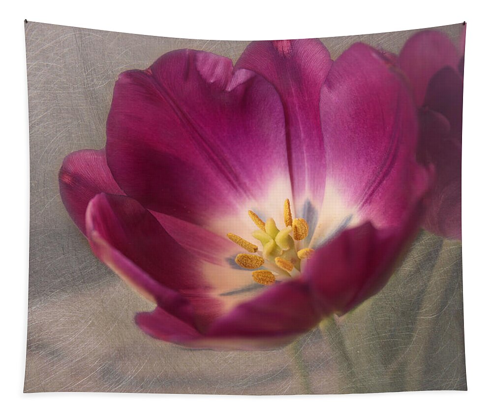 Purple Flower Tapestry featuring the photograph Purple Tulip by Kim Hojnacki