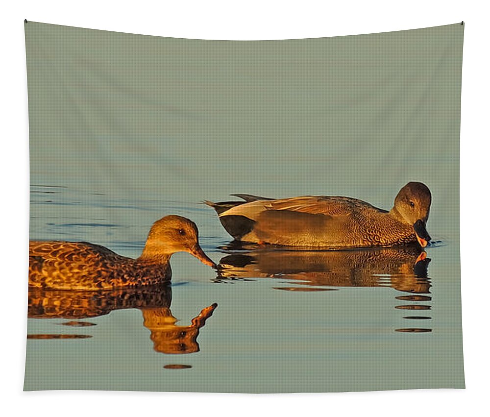 Nature Tapestry featuring the photograph Quack by Robert Mitchell