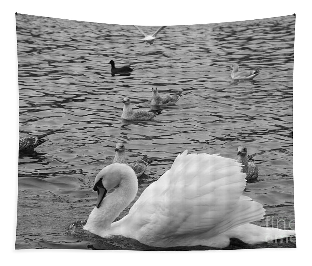 Swan Tapestry featuring the photograph Queen of the Pond by Hermes Fine Art