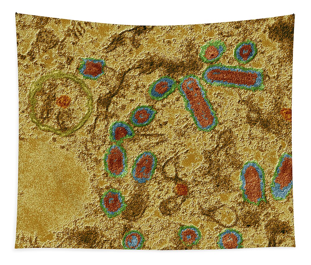 Rabies Tapestry featuring the photograph Rabies Infected Cell by Eye of Science