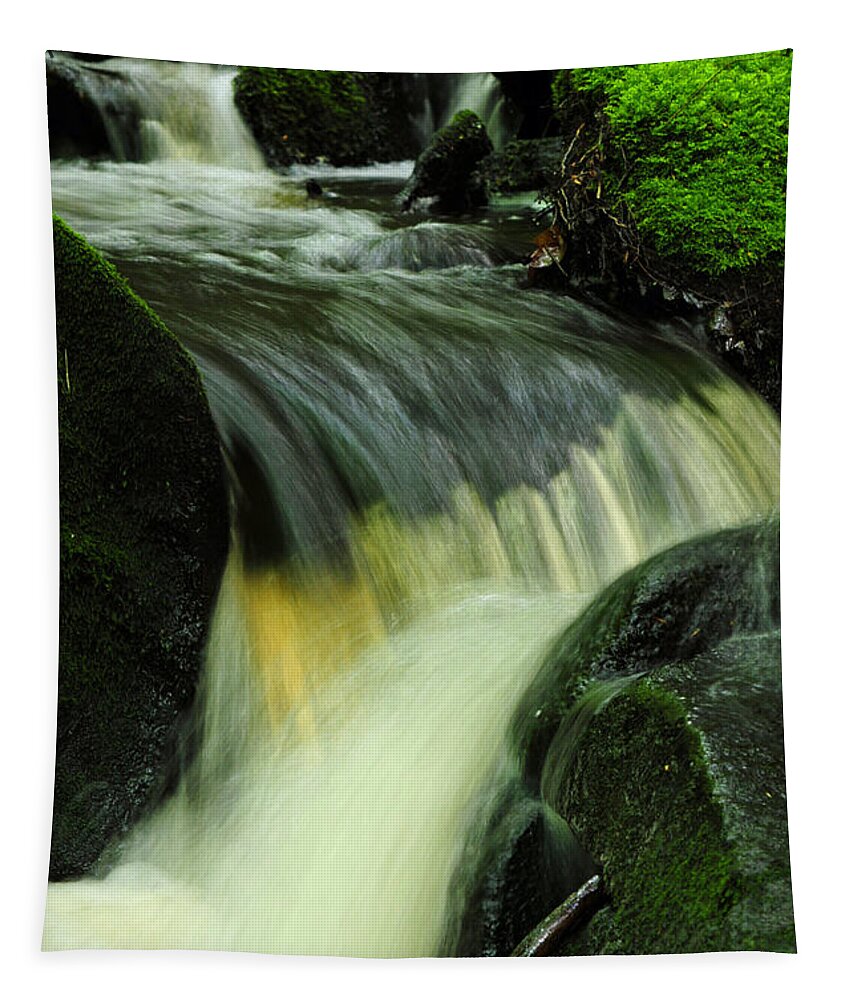 Brook Tapestry featuring the photograph Raccoon Hill Brook by Mike Martin