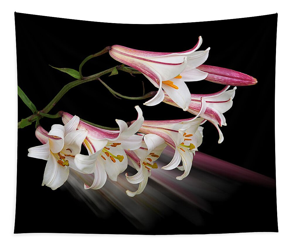 Pink And White Lily Tapestry featuring the photograph Radiant Lilies by Gill Billington