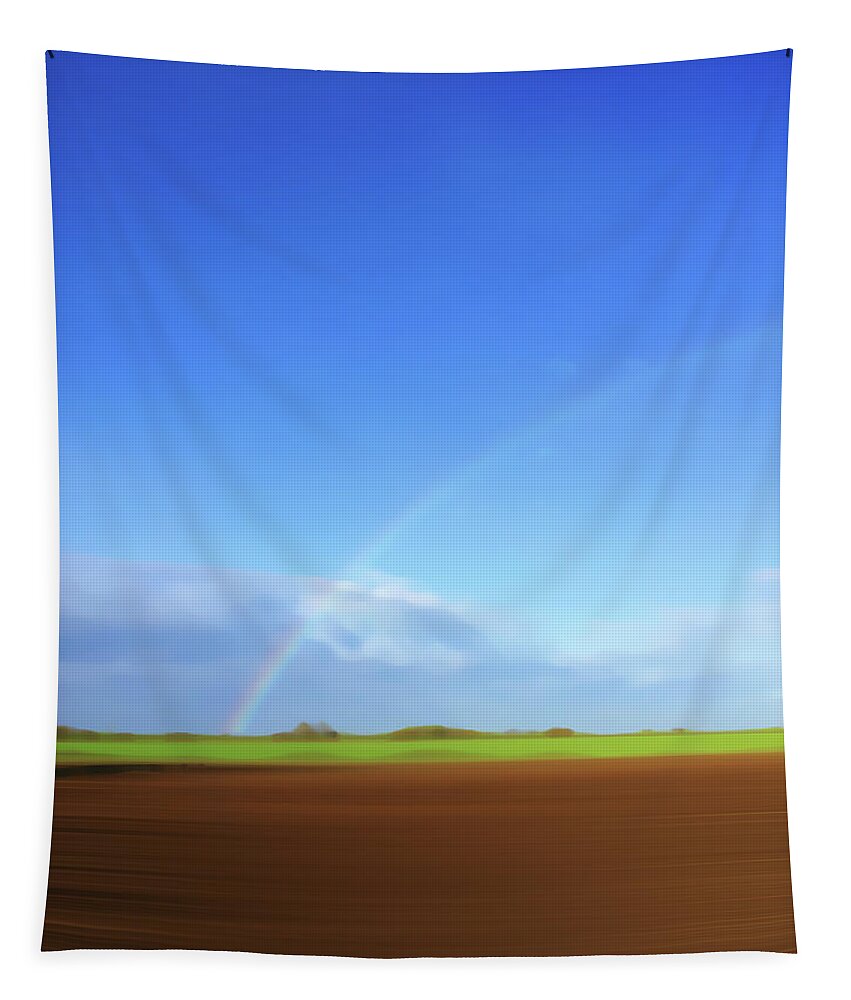 Beauty In Nature Tapestry featuring the photograph Rainbow In Field by Ikon Ikon Images