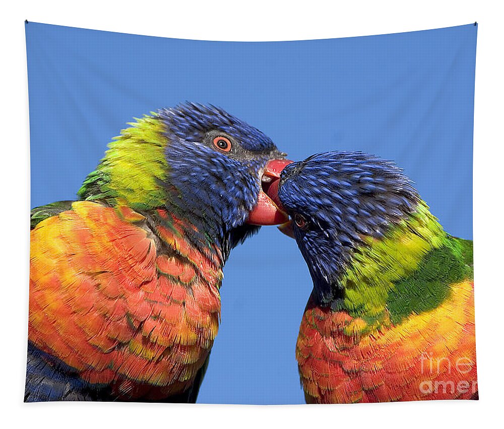 Lorikeets Tapestry featuring the photograph rainbow lorikeets, Canberra, Australia by Steven Ralser