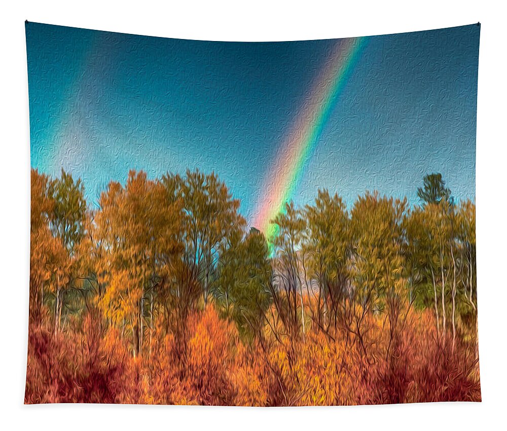 North Cascades Tapestry featuring the photograph Rainbow Surprise by Omaste Witkowski