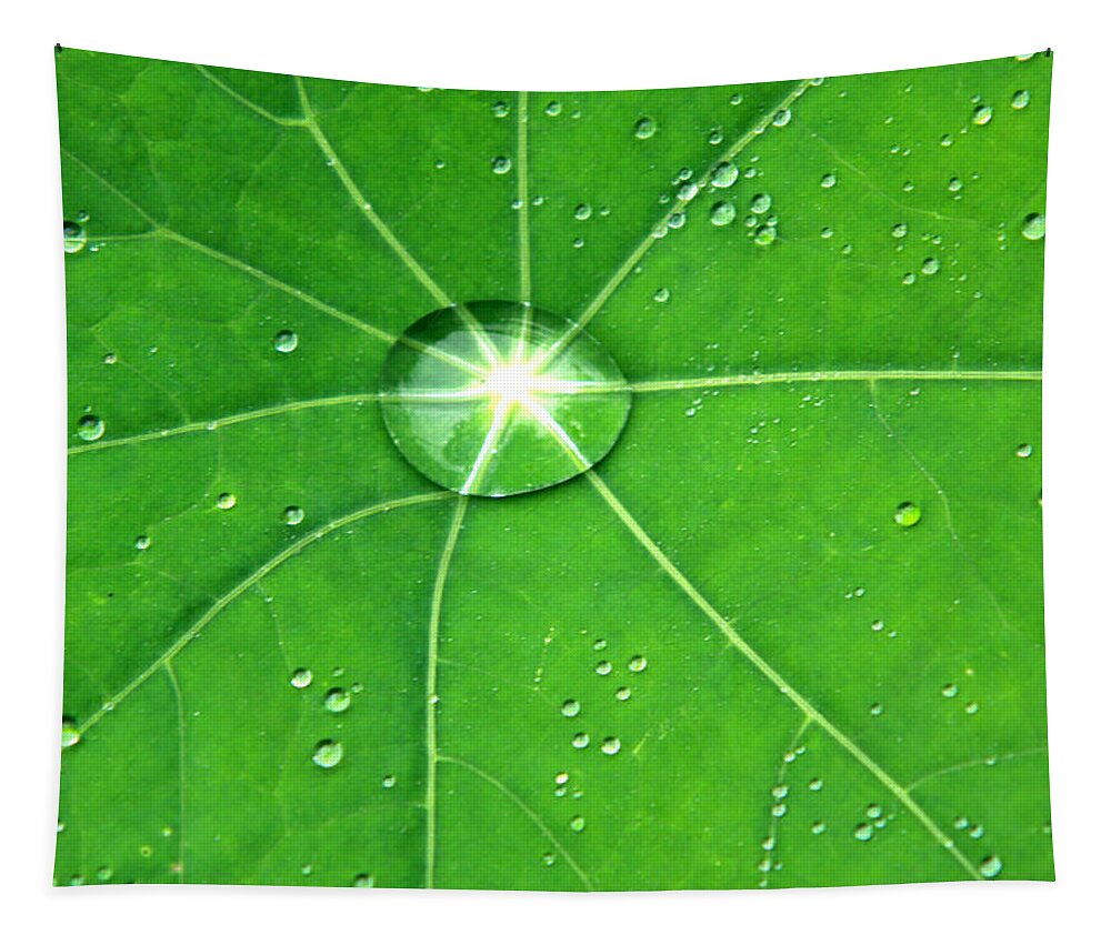  Green Leaf Tapestry featuring the photograph Raindrop Junction by Aidan Moran