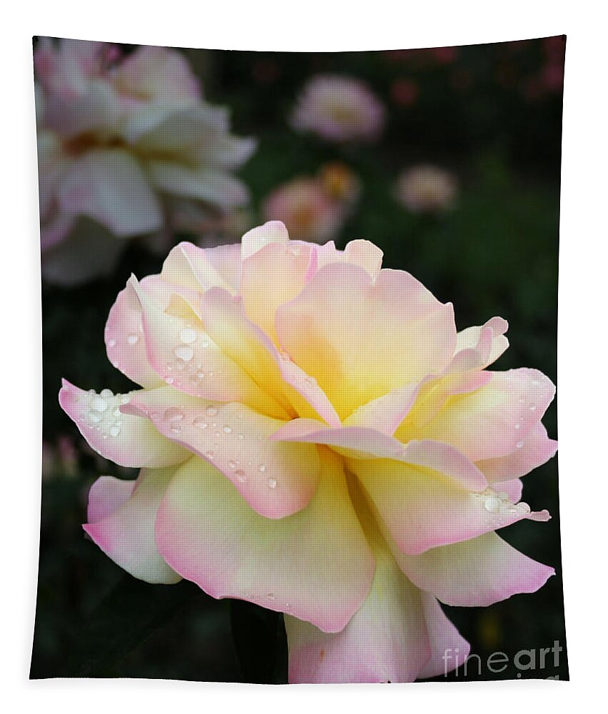 Flower Tapestry featuring the photograph Raindrops on Rose Petals by Barbara McMahon