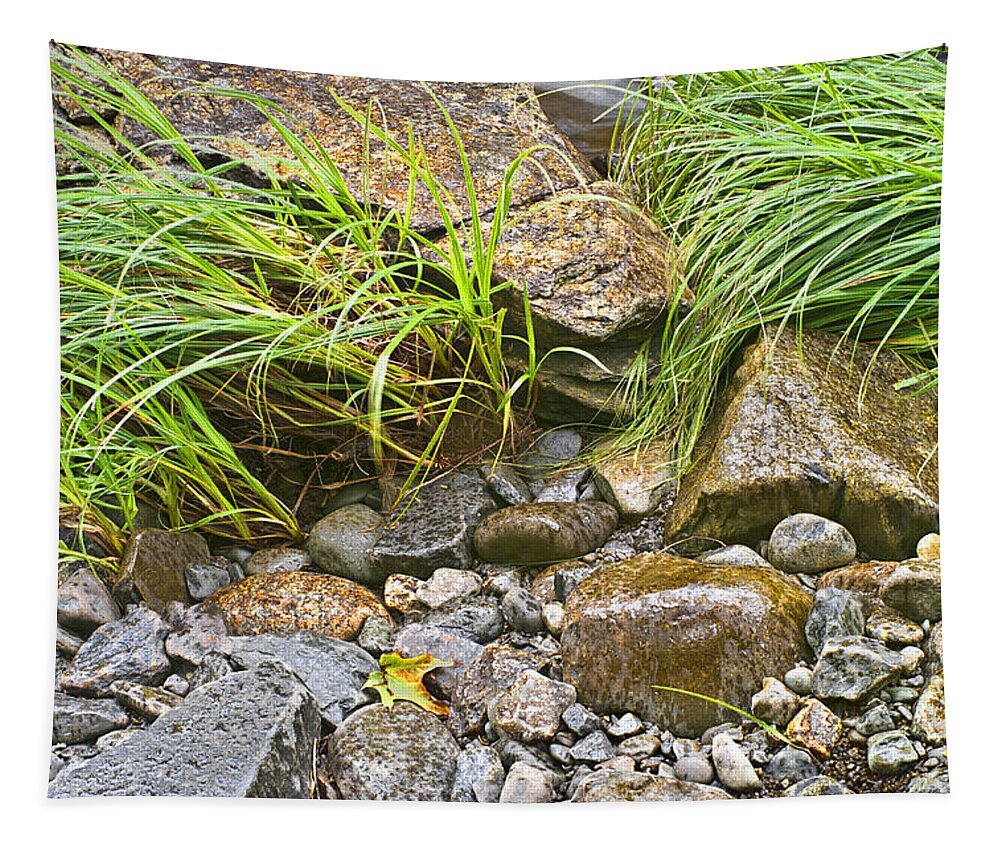 Rock Tapestry featuring the photograph Raindrops on the Riverbank Photo by Peter J Sucy