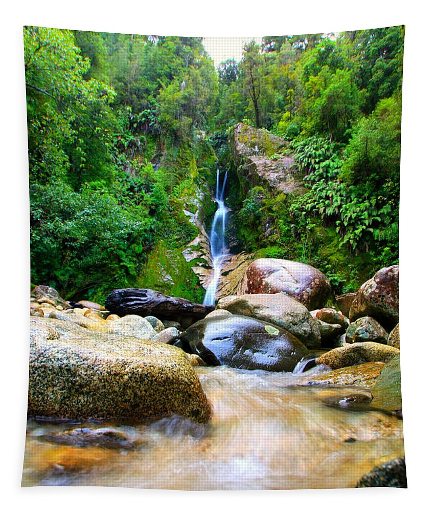 Waterfall Tapestry featuring the photograph Rainforest Stream New Zealand by Amanda Stadther