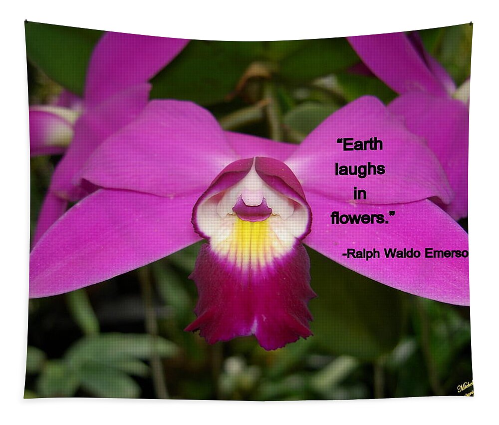 Flower Photograph Tapestry featuring the photograph Ralph Waldo Emerson by Michele Penn