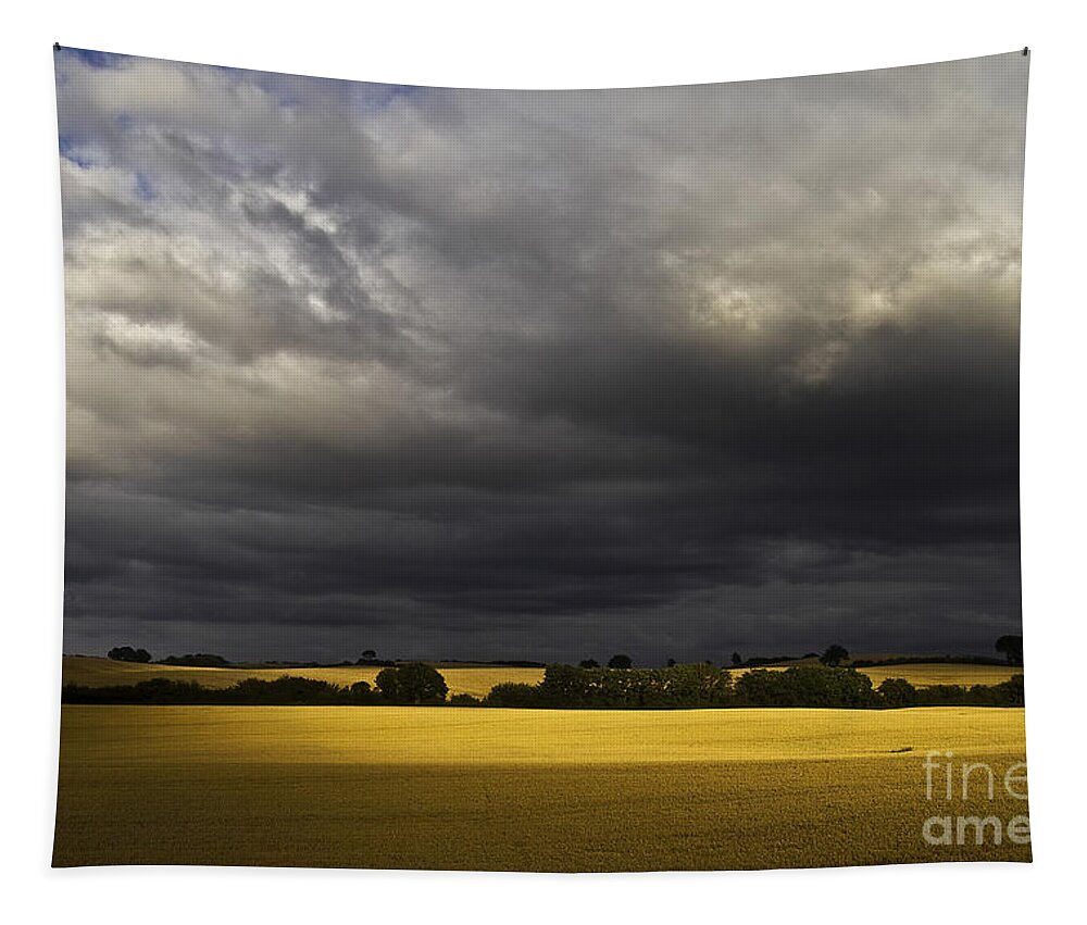 Rapefield Tapestry featuring the photograph Rapefield Under Dark Sky by Heiko Koehrer-Wagner
