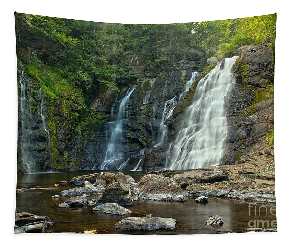 Raymondskill Falls Tapestry featuring the photograph Raymondskill Waterfall Canyon by Adam Jewell