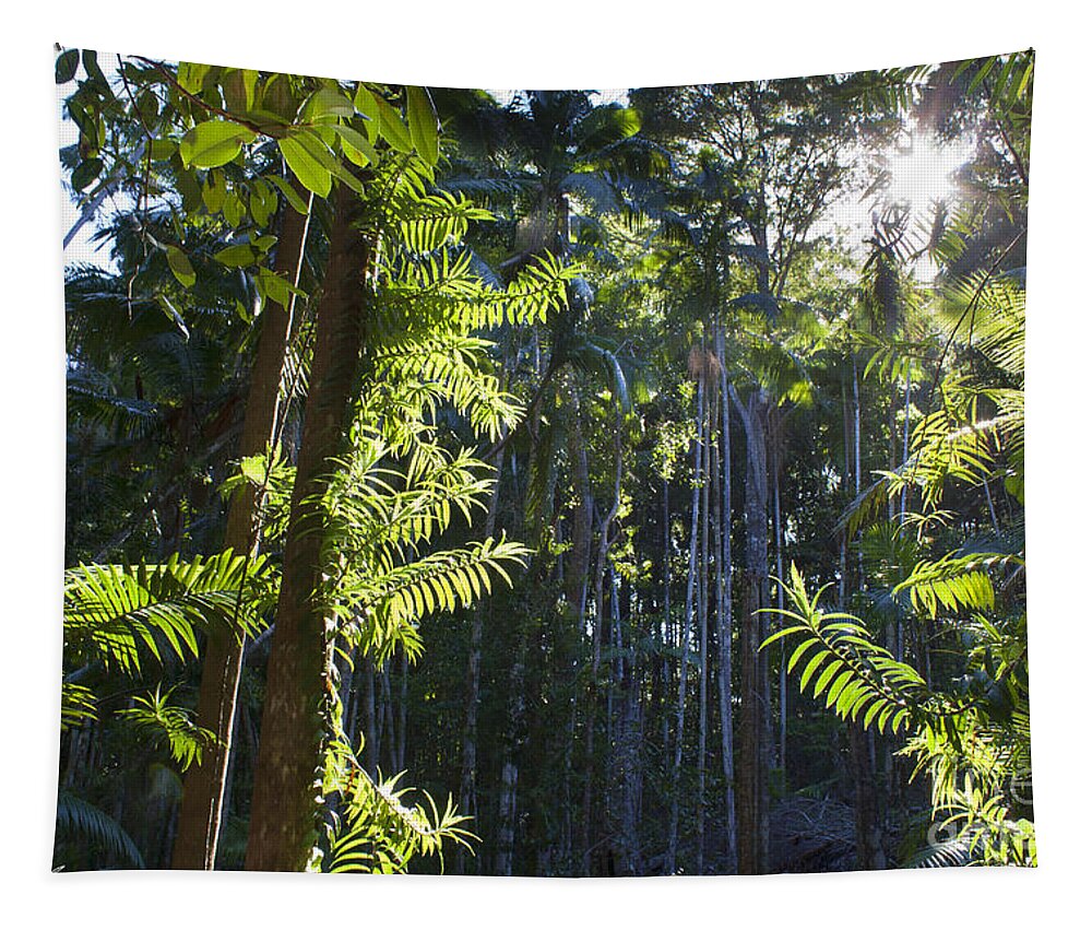 Trees Tapestry featuring the photograph Reach by Linda Lees