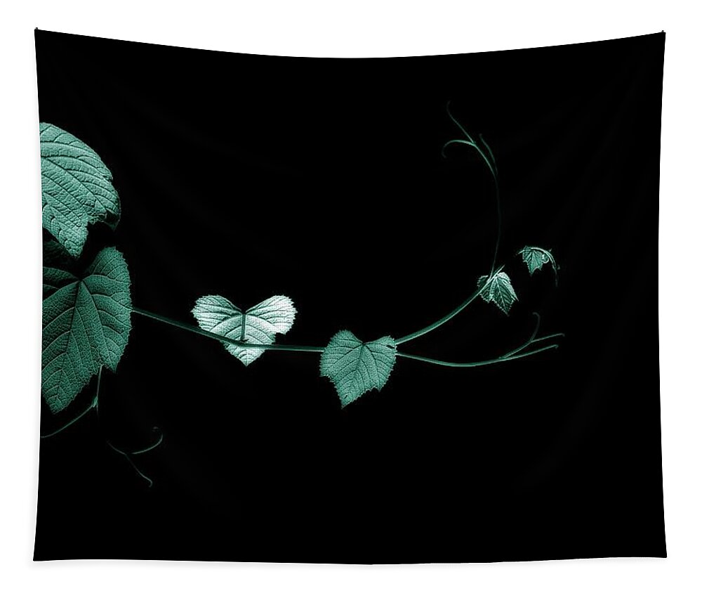 Plant Tapestry featuring the photograph Reach Out and Touch Me by Mark Fuller