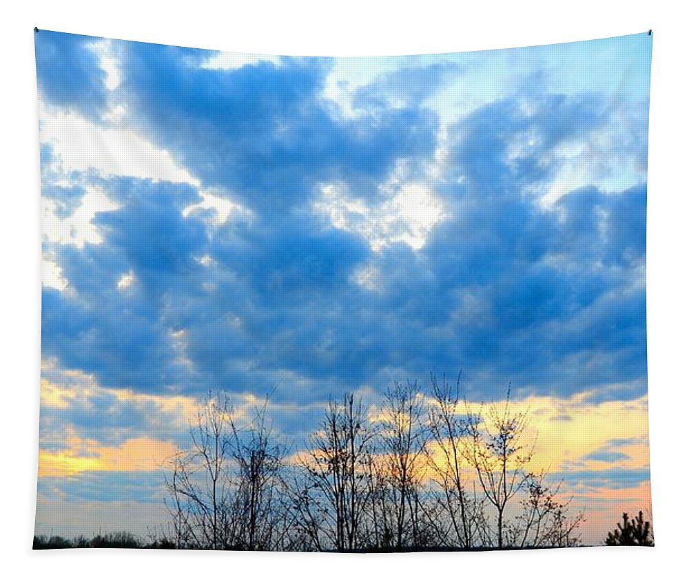 Blue Tapestry featuring the photograph Reach Out and Touch the Sky by Linda Bailey