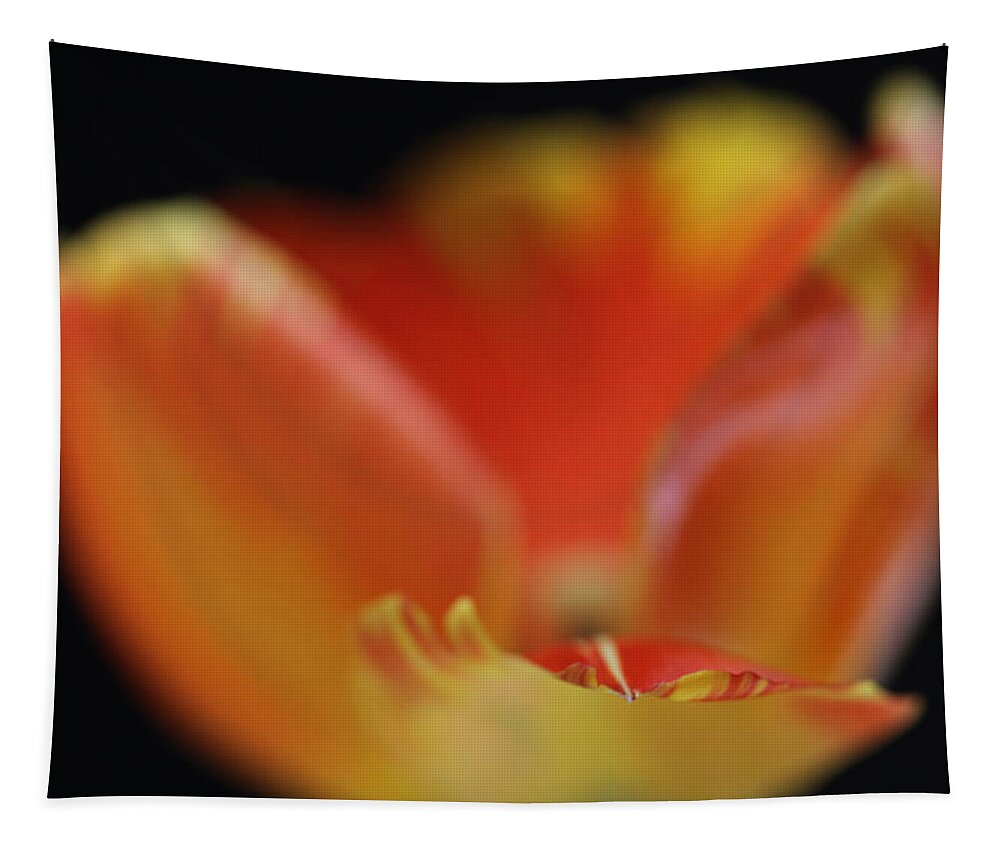 Tulip Tapestry featuring the photograph Reaching Out by Juergen Roth