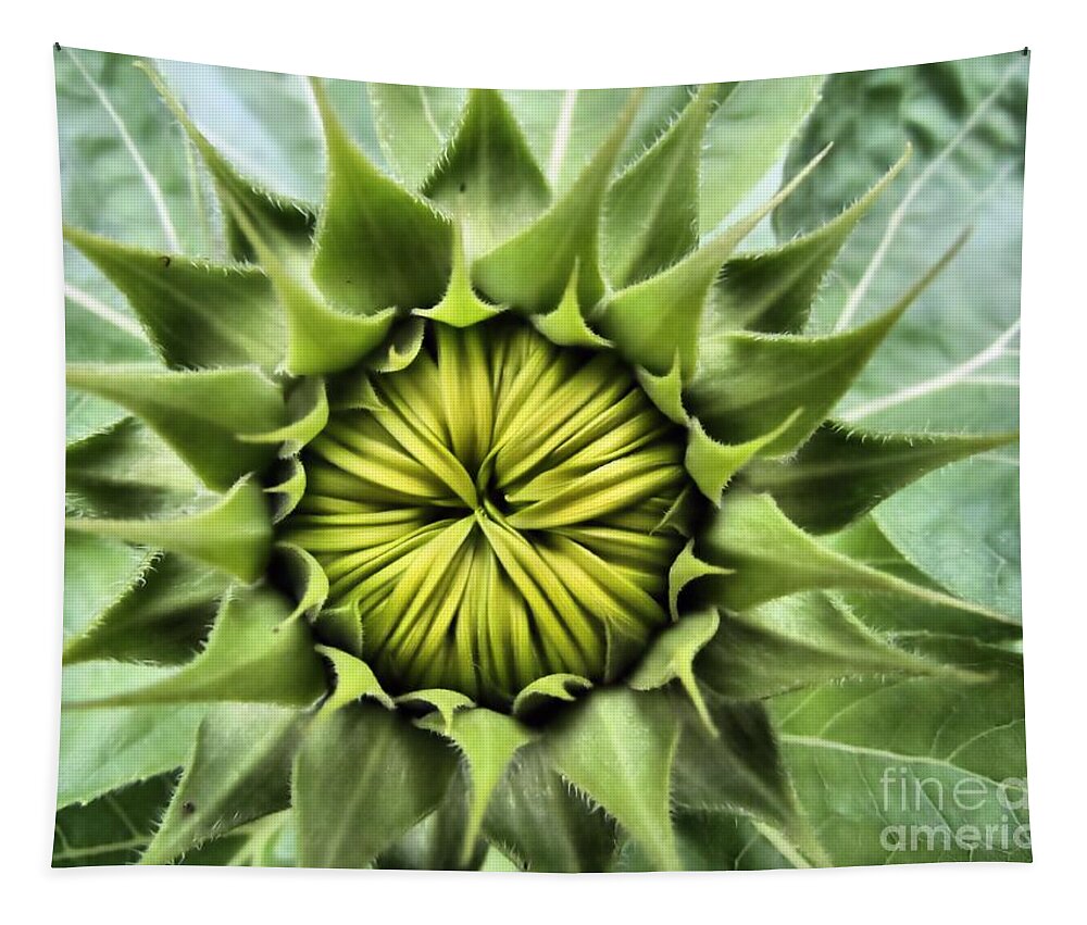 Sunflower Tapestry featuring the photograph Ready Or Not Here I Come by Elizabeth Dow