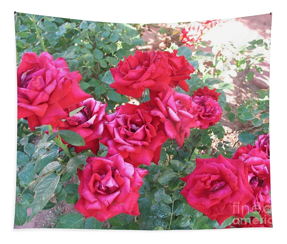 Reds Tapestry featuring the photograph Red and Pink Roses by Chrisann Ellis