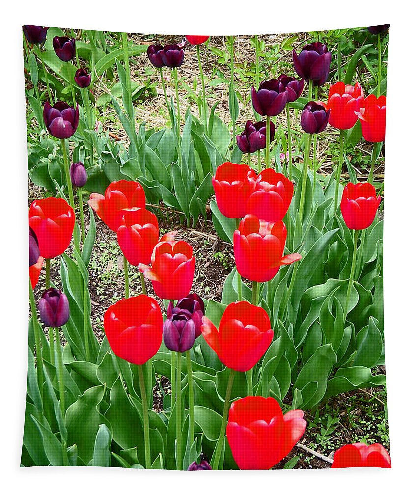 Red Tulips Tapestry featuring the photograph Red and Purple Tulips by Aimee L Maher ALM GALLERY