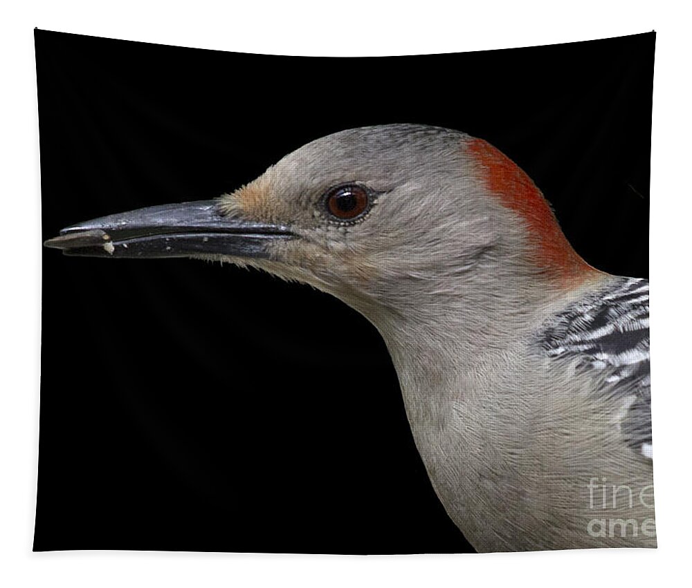 Red-bellied Woodpecker Tapestry featuring the photograph Red-bellied Woodpecker by Meg Rousher