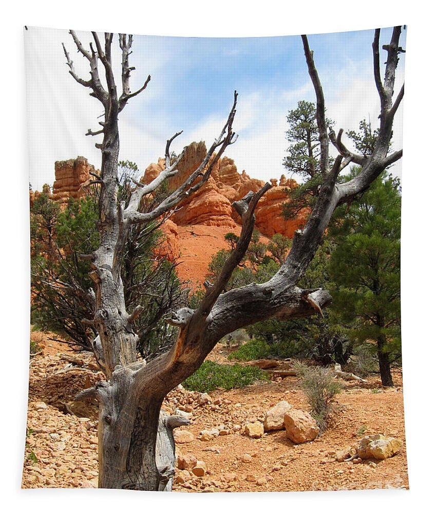 Red Canyon Tapestry featuring the photograph Red Canyon Tree And Rocks by Debra Thompson