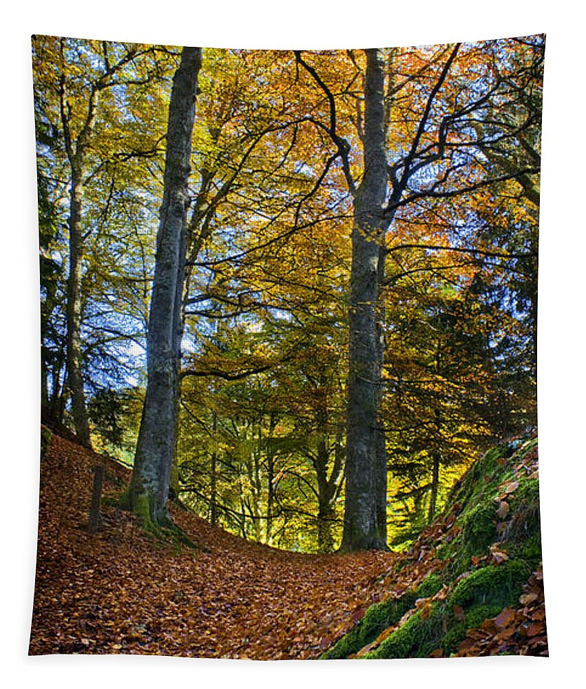 Path Tapestry featuring the photograph Red carpet in reelig glen during Autumn by Joe MacRae