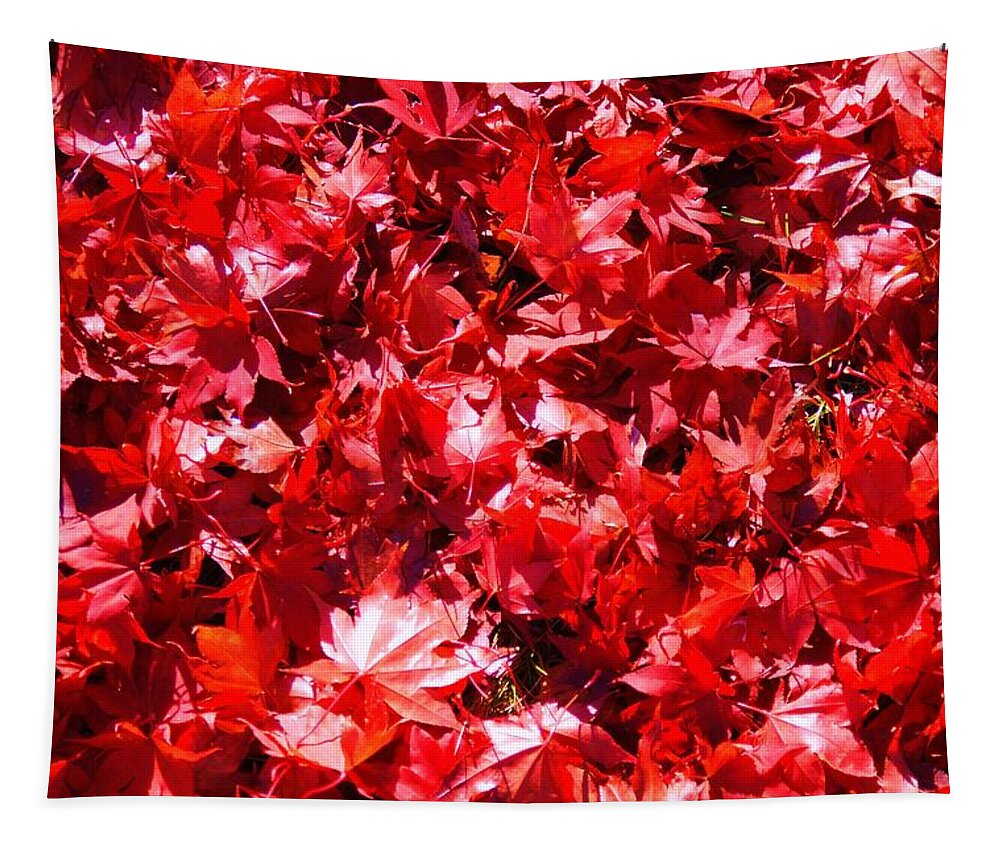 Fall Tapestry featuring the photograph Red Carpet by Joseph Desiderio