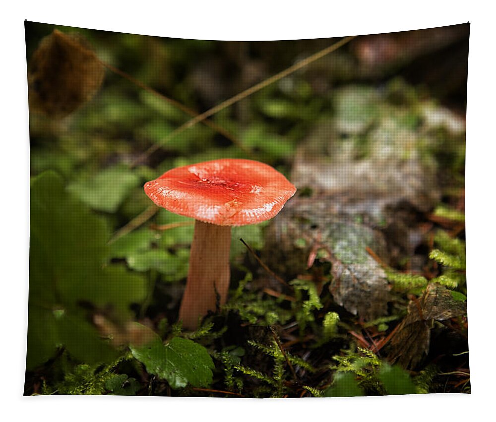 Russula Emetica Tapestry featuring the photograph Red Coral Mushroom by Belinda Greb