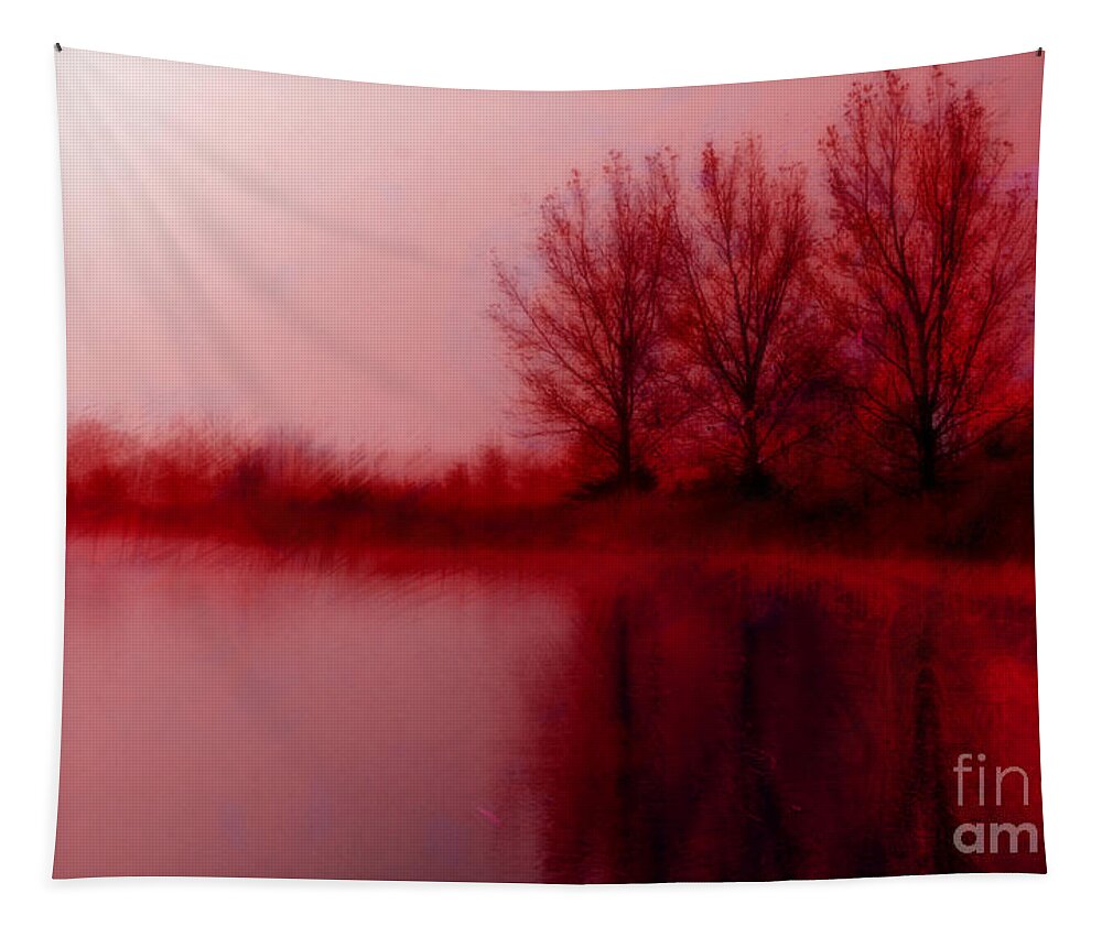 Sunset Tapestry featuring the photograph Red Dawn by Julie Lueders 