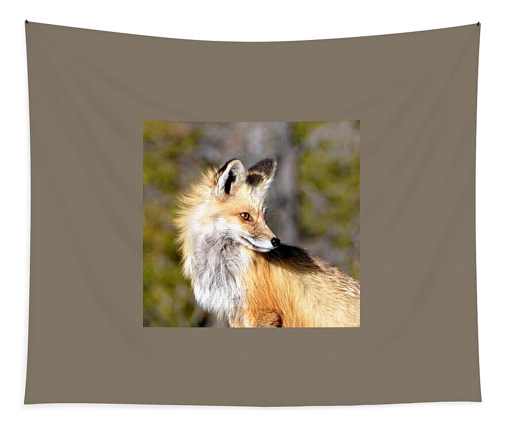 Red Tapestry featuring the photograph Red Fox Face by Tranquil Light Photography