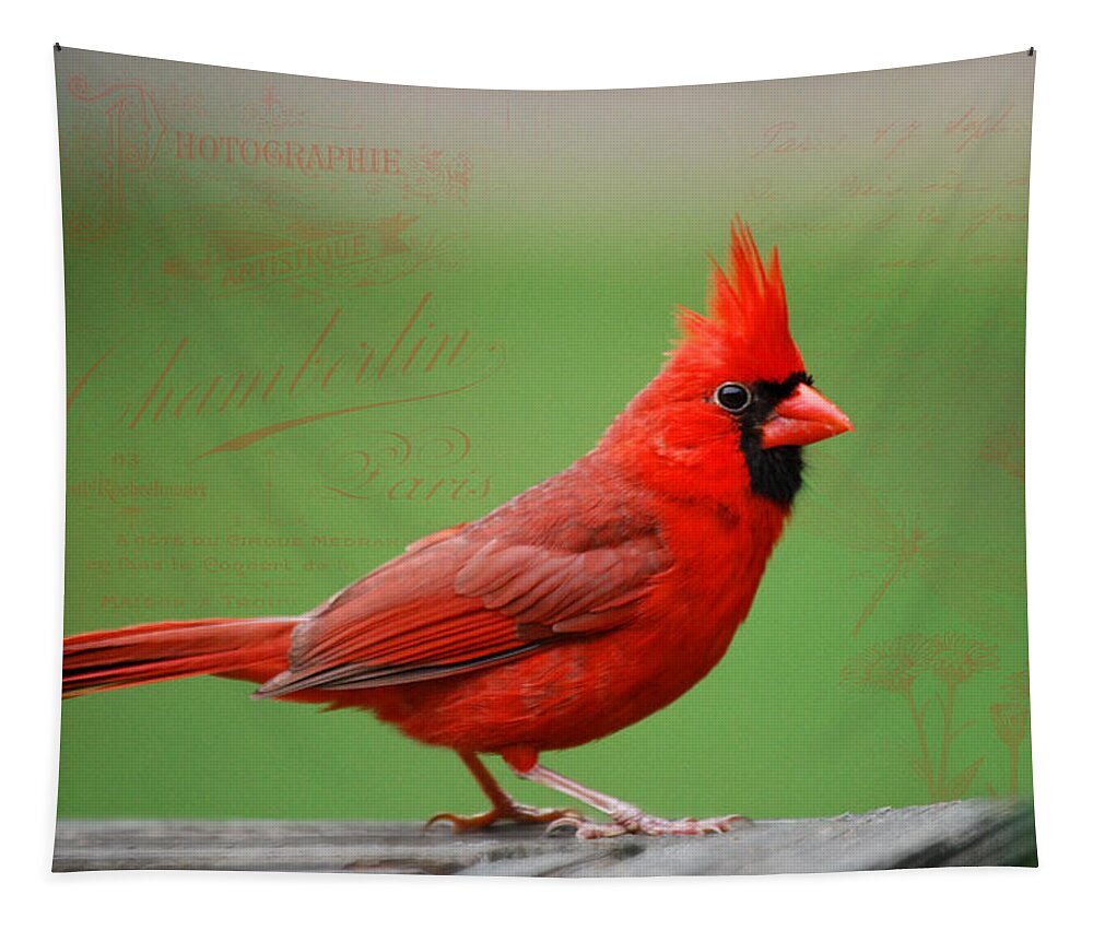 Red Bird Tapestry featuring the photograph Red It Is by Linda Segerson