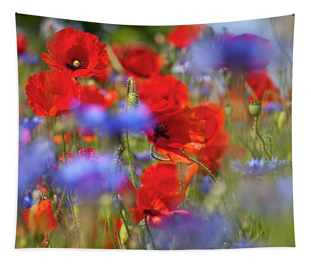 Poppy Tapestry featuring the photograph Red Poppies in the Maedow by Heiko Koehrer-Wagner